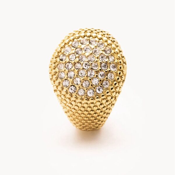 ANELLO SPARKLING CHEVALIER CON STRASS